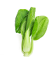 cabbage